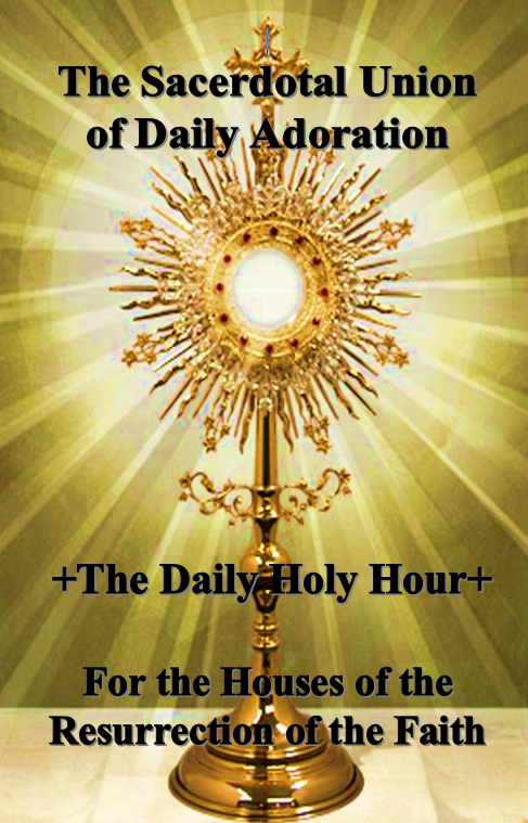 daily holy hour cover
